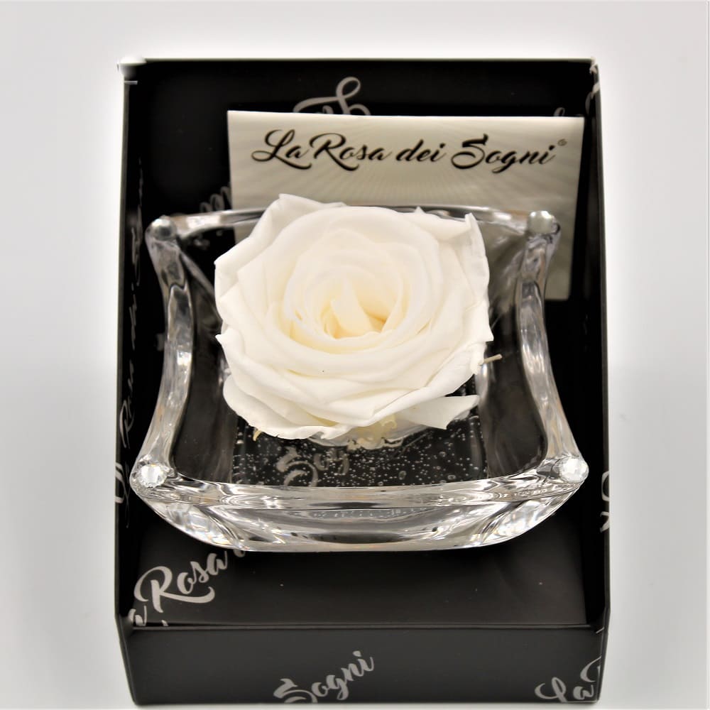 Rosa Bianca Stabilizzata Ninfea pan Rosa Bianca Stabilizzata Ninfea pan