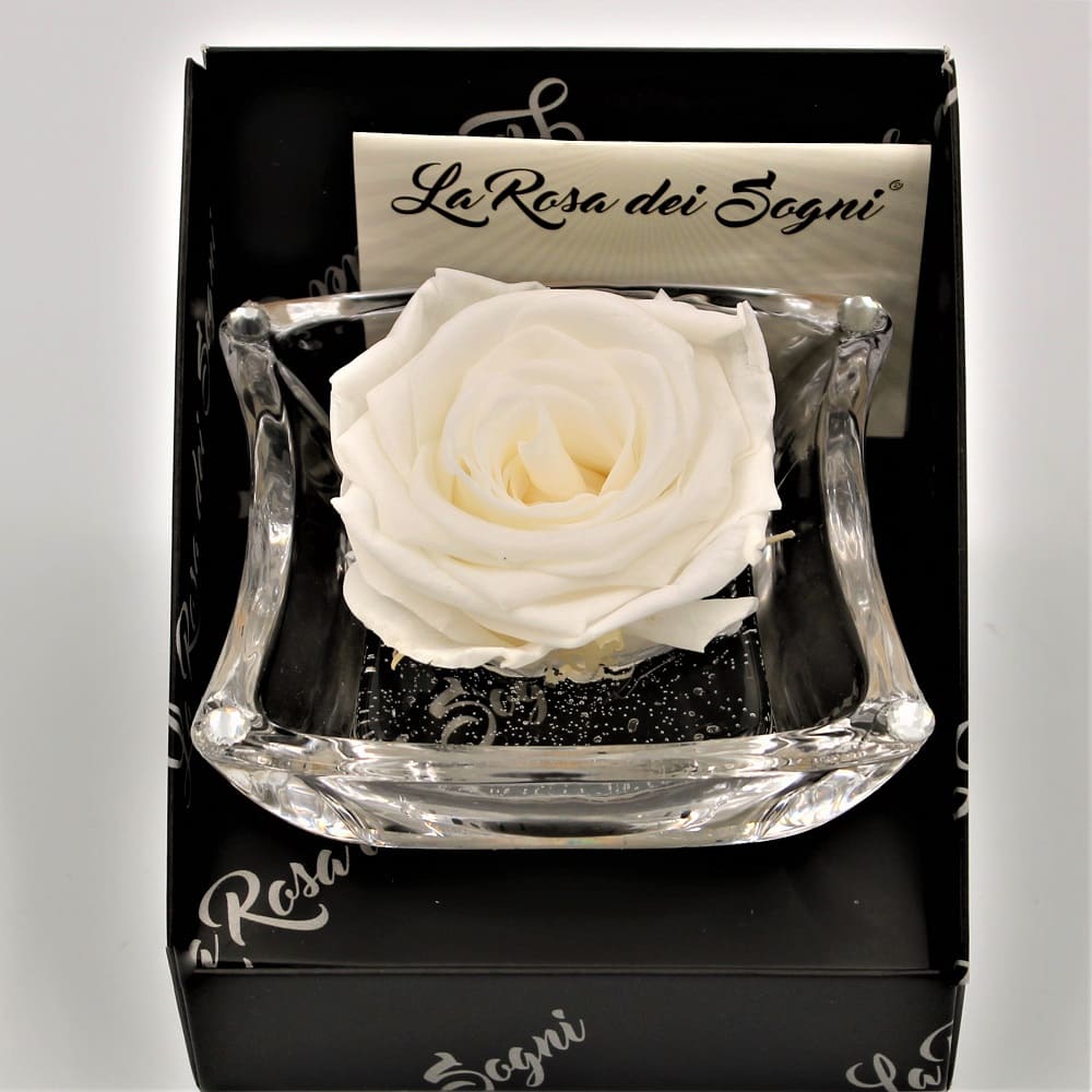 Rosa Bianca Stabilizzata Ninfea zoom Rosa Bianca Stabilizzata Ninfea zoom