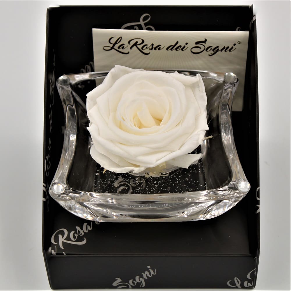 Rosa Bianca Stabilizzata Ninfea Rosa Bianca Stabilizzata Ninfea