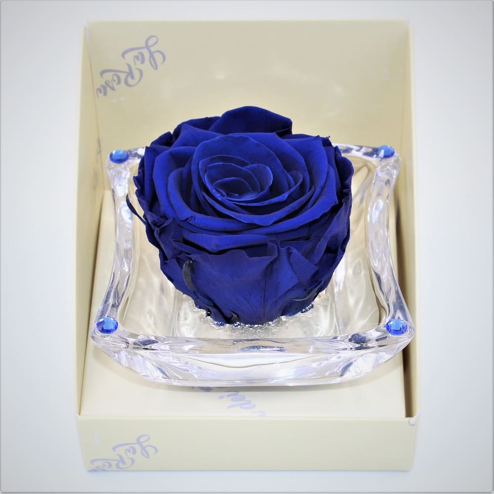 Rosa Blu Stabilizzata Ninfea - La Violetta, fiorai da due generazioni