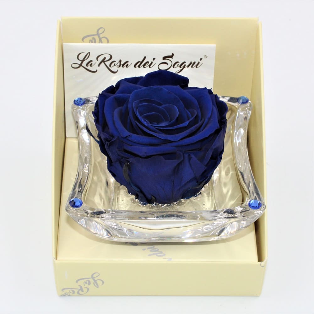 Rosa Blu Stabilizzata Ninfea pan Rosa Blu Stabilizzata Ninfea pan