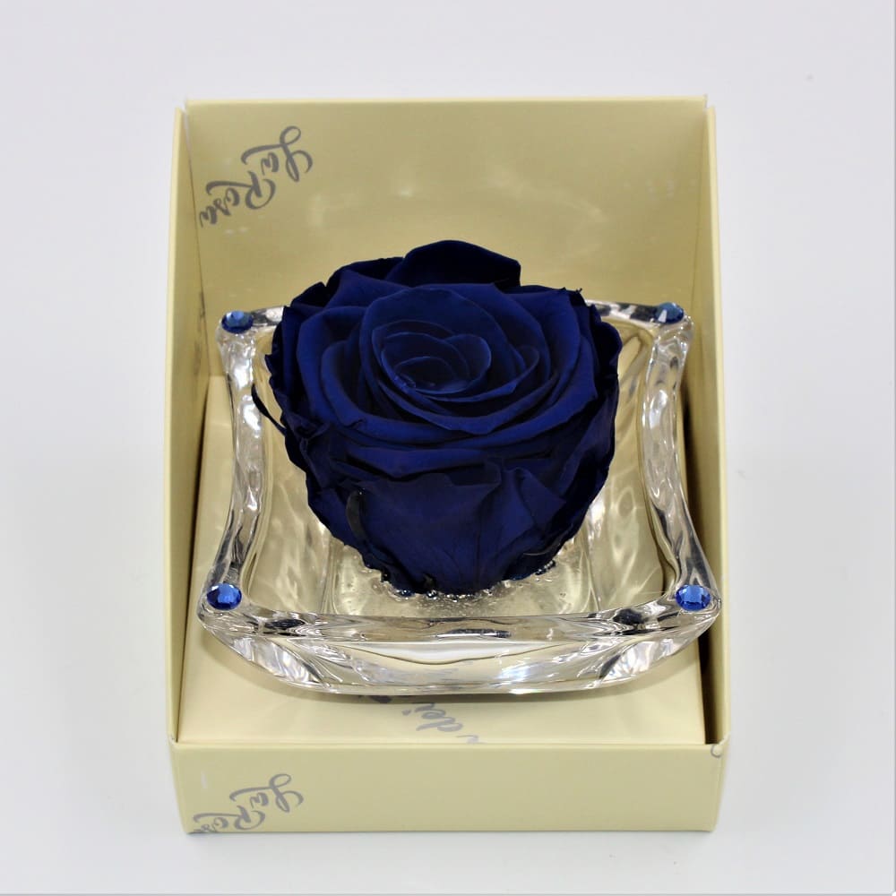 Rosa Blu Stabilizzata Ninfea Rosa Blu Stabilizzata Ninfea