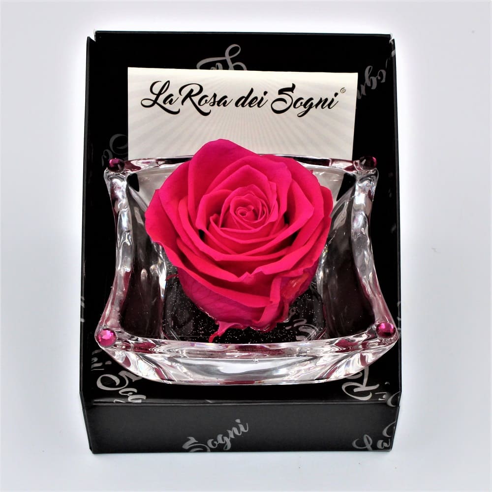 Rosa Fuxia Stabilizzata Ninfea Dett luce Rosa Fuxia Stabilizzata Ninfea Dett luce