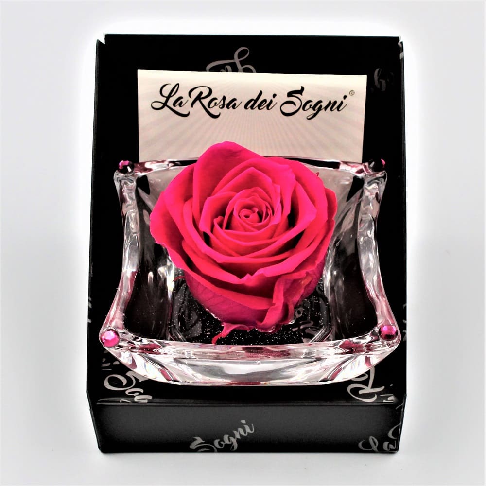 Rosa Fuxia Stabilizzata Ninfea Pan Rosa Fuxia Stabilizzata Ninfea Pan