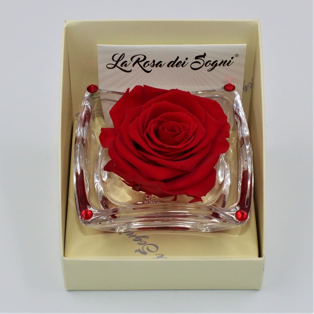 Rosa Rossa Stabilizzata Ninfea Pan Rosa Rossa Stabilizzata Ninfea Pan