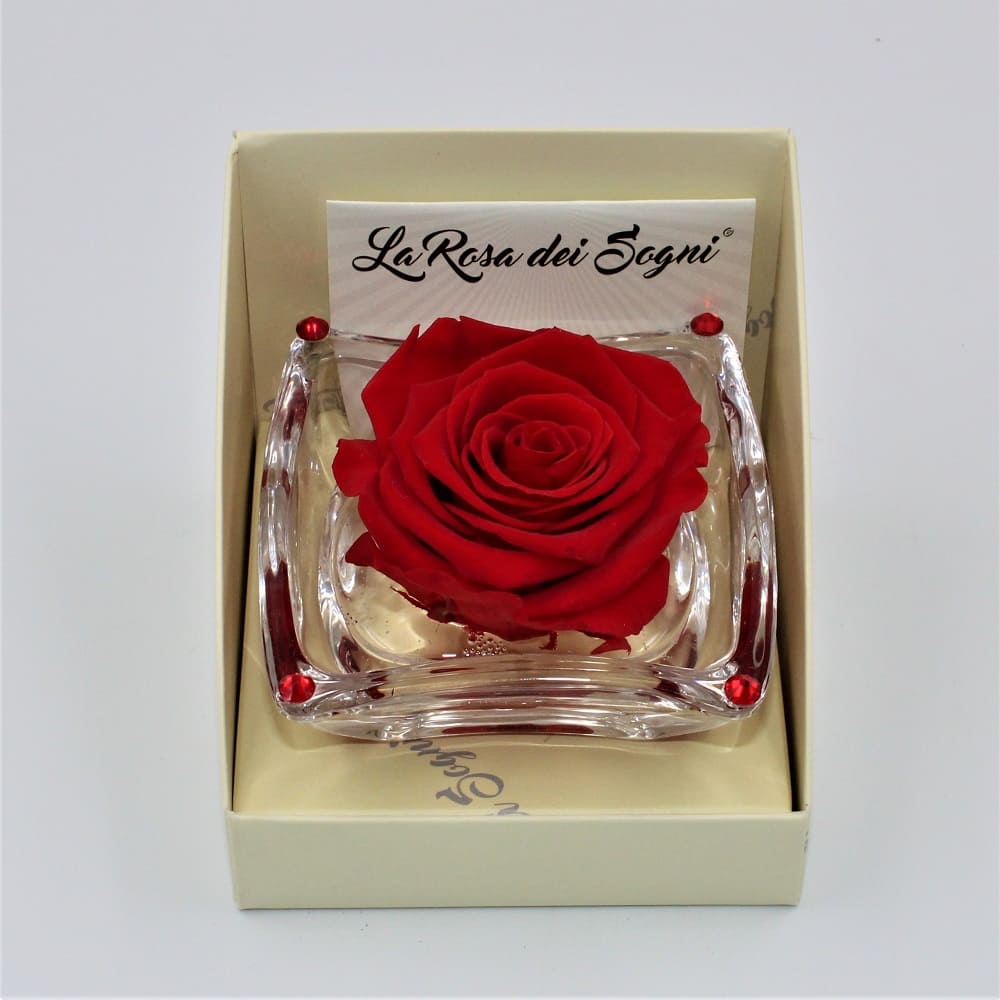 Rosa Rossa Stabilizzata Ninfea Rosa Rossa Stabilizzata Ninfea