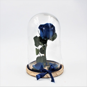 Rosa Stabilizzata Bell Jar Blue