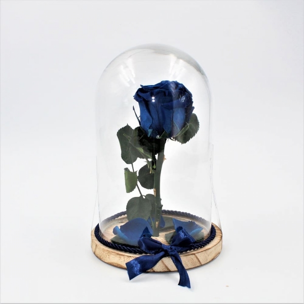 Rosa Stabilizzata Bell Jar Blue