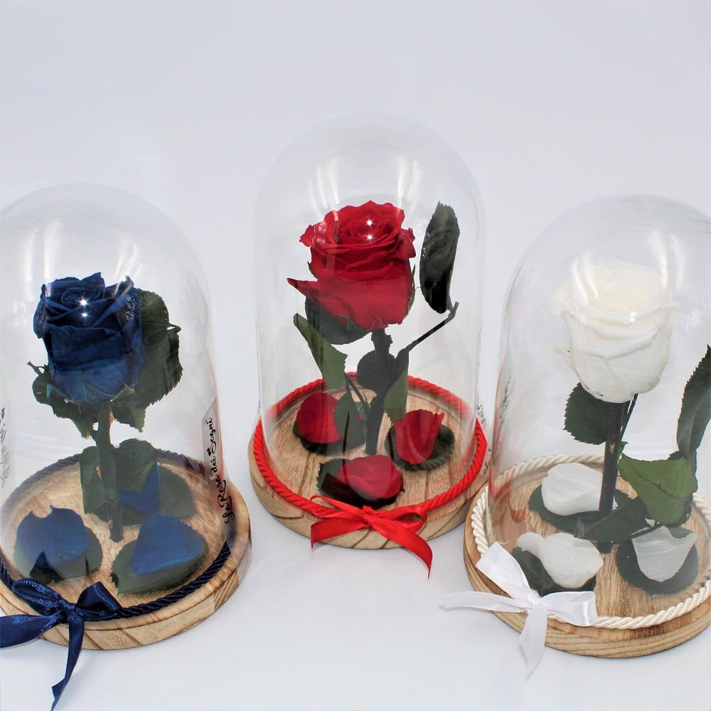 Rosa Stabilizzata Bell Jar Mix