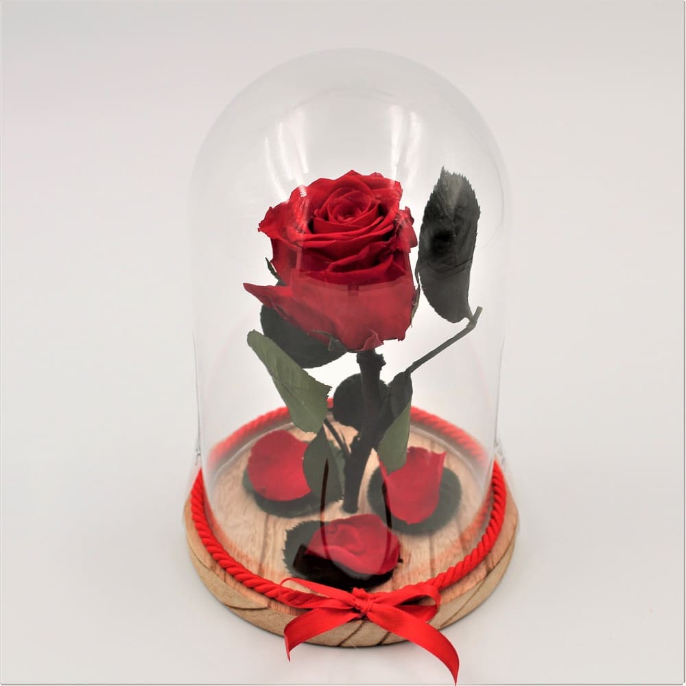 Rosa Stabilizzata Bell Jar Red dett