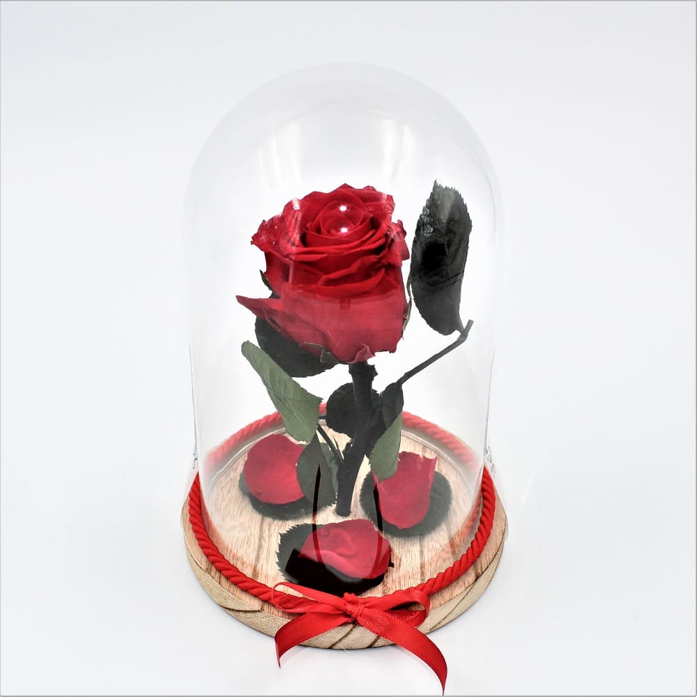 rosa stabilizzata in campana di vetro - Fiori a Caserta consegna a domicilio