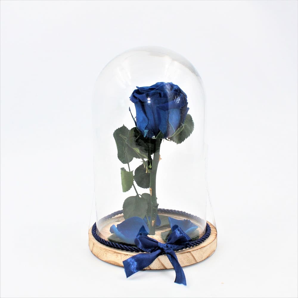 Rosa Stabilizzata Bell Jar blue dett