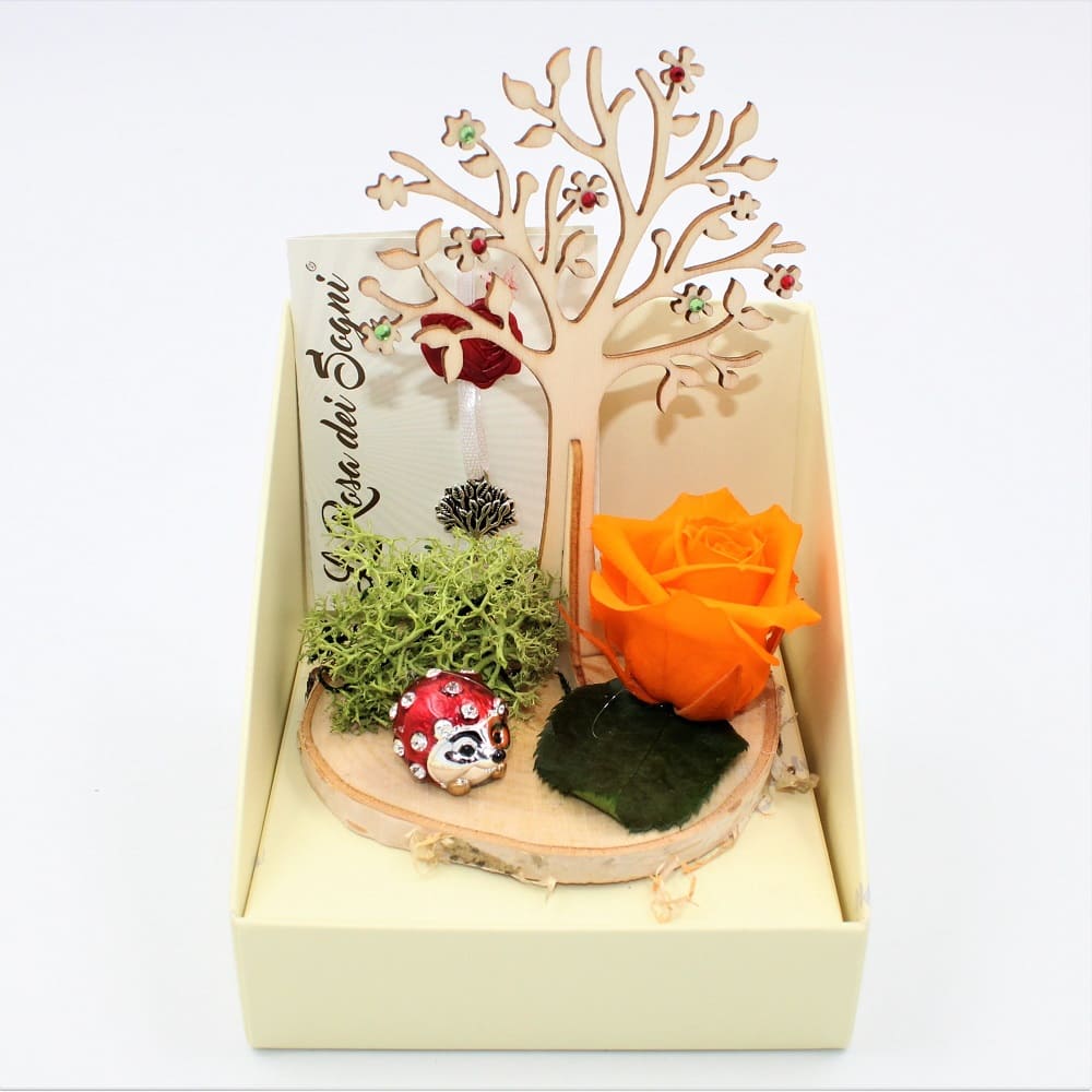 Rosa Stabilizzata Albero Della Vita Arancio Rosa Stabilizzata Albero Della Vita Arancio