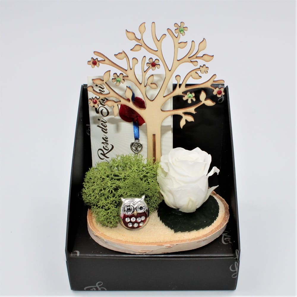 Rosa Stabilizzata Albero Della Vita Bianca Rosa Stabilizzata Albero Della Vita Bianca