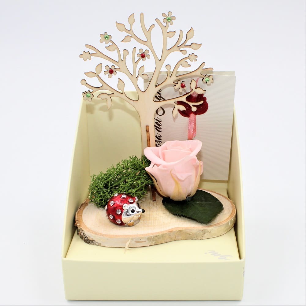 Rosa Stabilizzata Albero Della Vita Rosa Rosa Stabilizzata Albero Della Vita Rosa