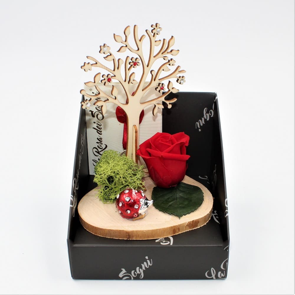 Rosa Stabilizzata Albero Della Vita Rossa Rosa Stabilizzata Albero Della Vita Rossa