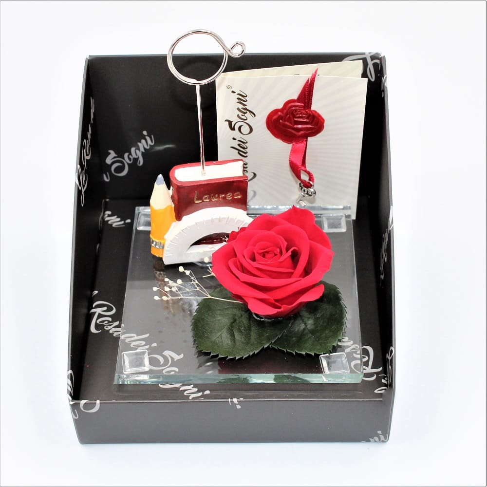 Rosa Stabilizzata Atena Libro