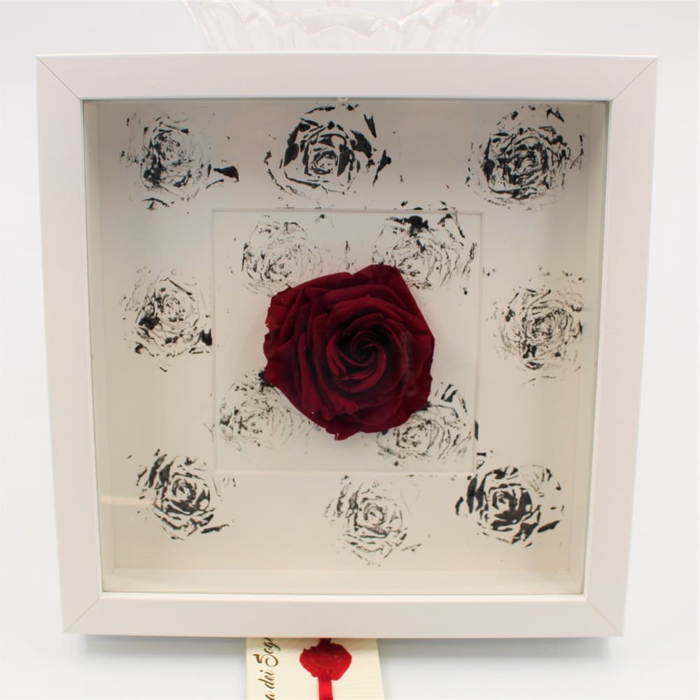 Rosa Stabilizzata a Quadro A