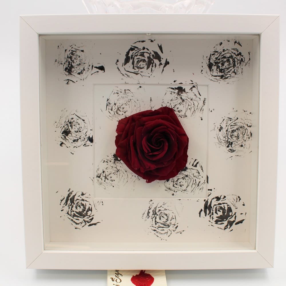 Rosa Stabilizzata a Quadro B