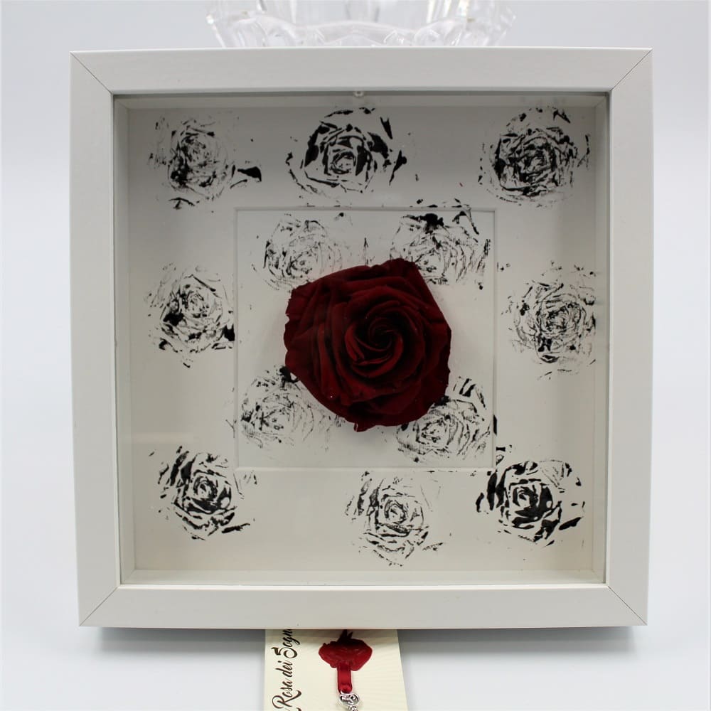 Rosa Stabilizzata a Quadro D