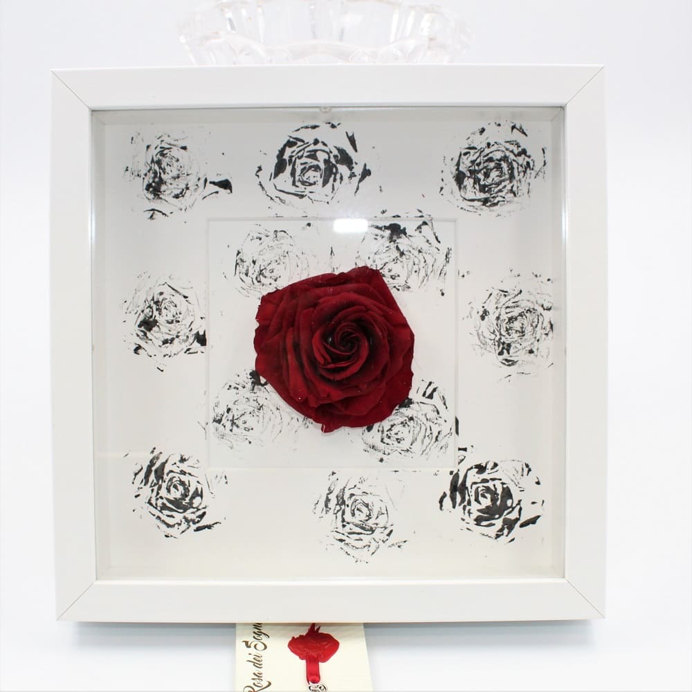 Rosa Stabilizzata a Quadro E