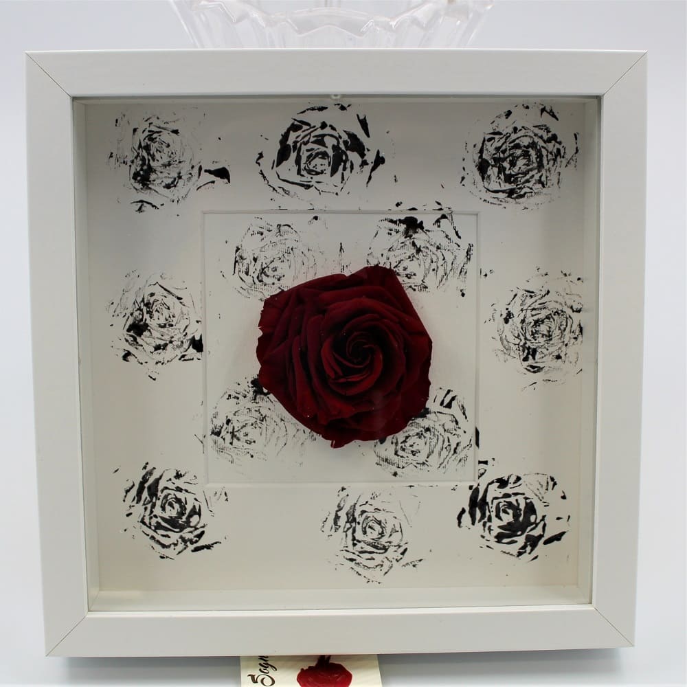 Rosa Stabilizzata a Quadro Zoom