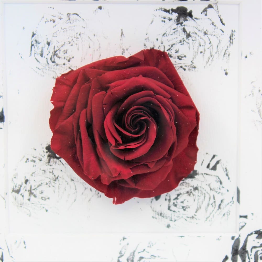 Rosa Stabilizzata a Quadro dettaglio