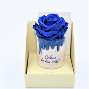 Rosa di colore blu in vaso di ceramica