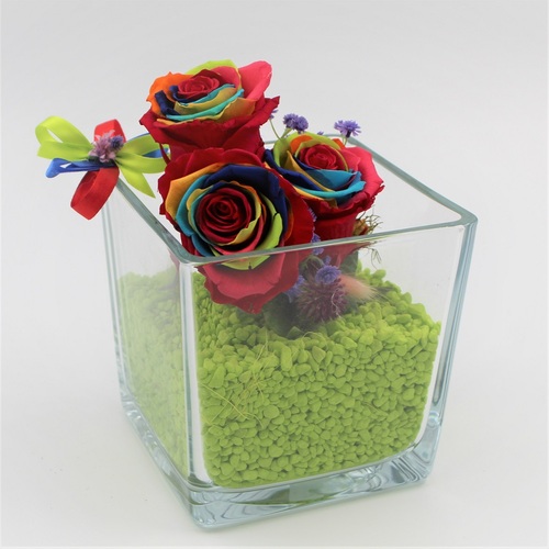 Cubo di Cristallo con Rose Stabilizzate Rainbow 1