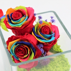 Cubo di Cristallo con Rose Stabilizzate Rainbow 2