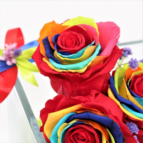 Cubo di Cristallo con Rose Stabilizzate Rainbow 4