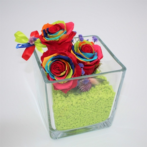Cubo di Cristallo con Rose Stabilizzate Rainbow 5