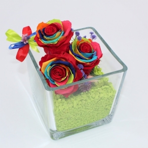 Cubo di Cristallo con Rose Stabilizzate Rainbow 6