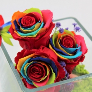 Cubo di Cristallo con Rose Stabilizzate Rainbow 7