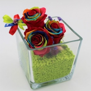 Cubo di Cristallo con Rose Stabilizzate Rainbow 8