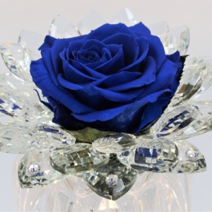 Rosa Blu Stella di Cristallo