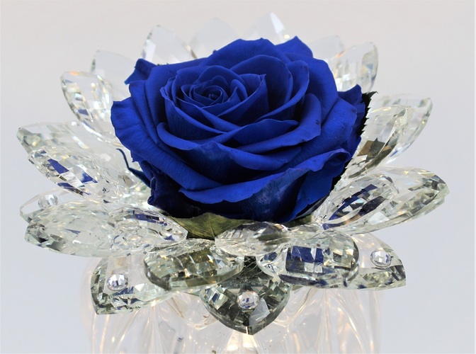 Rosa Blu Stella di Cristallo