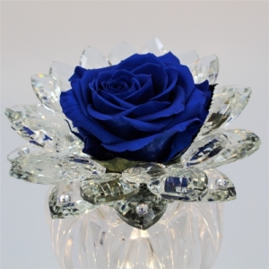 Rosa Blu Stella di Cristallo 2