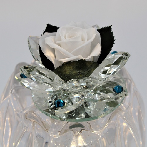 Rosa Bocciolo di Cristallo Bianco