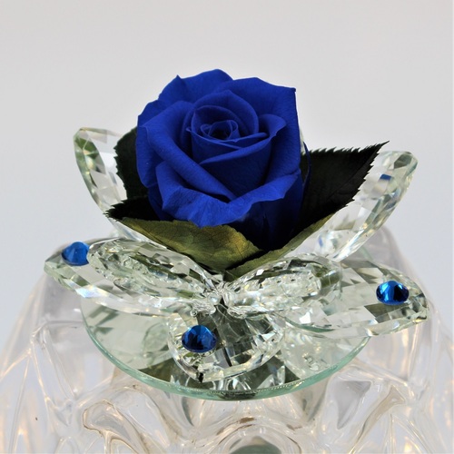 Rosa Bocciolo di Cristallo Blu