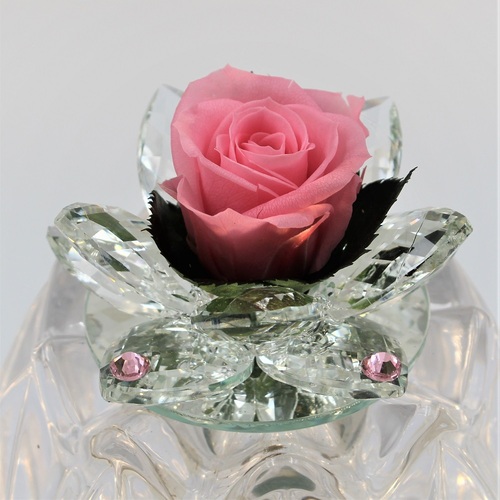 Rosa Bocciolo di Cristallo Rosa