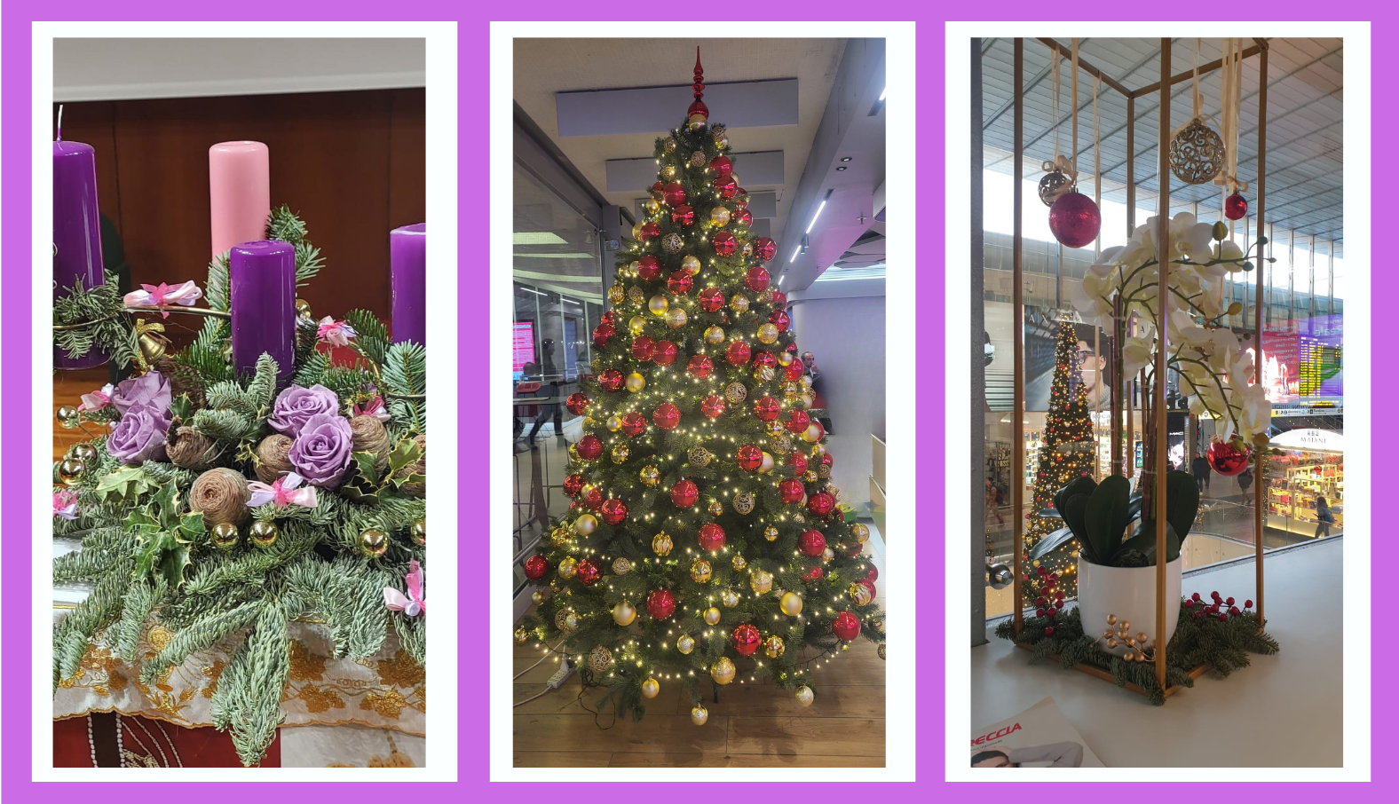 Allestimenti Natale