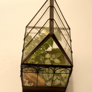 Serra Geometrica - Terrarium Eleganza Artica
