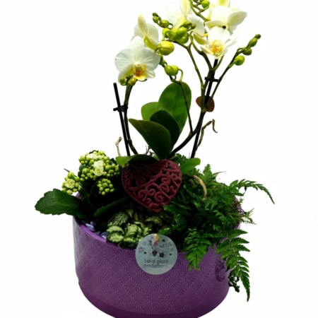 Ciotola Viola Lavorata: Orchidee e Felci