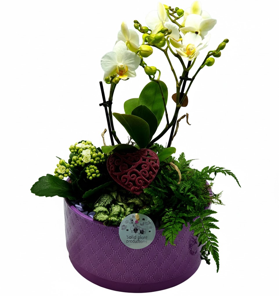 Ciotola Viola Lavorata: Orchidee e Felci