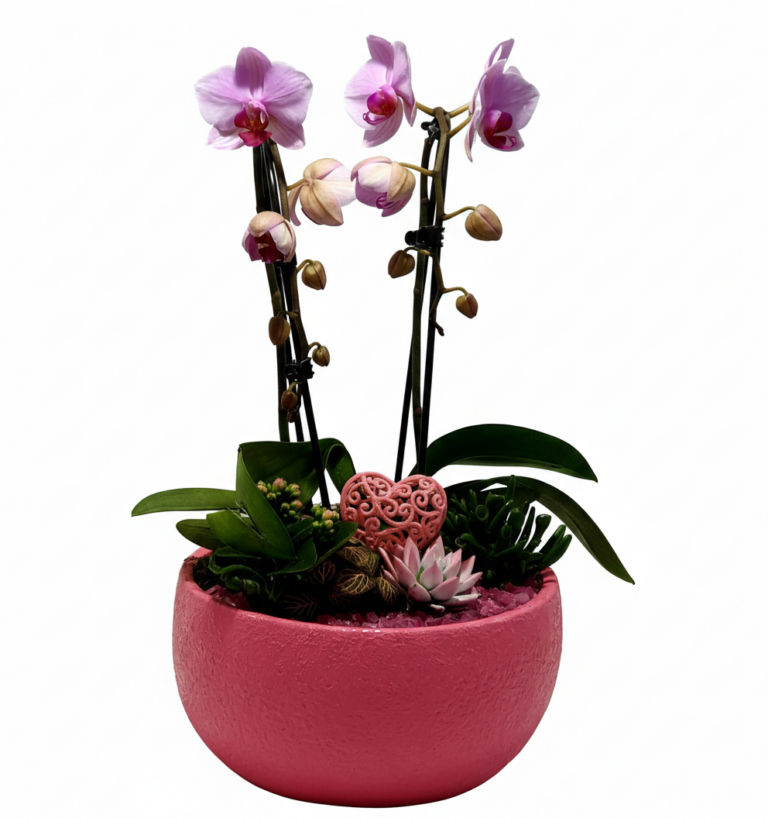 Ciotola Rosa Armonia: Orchidee e Sfumature Gentili